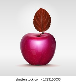 manzana realista. manzana vectorial con hoja. Fruta madura. Comida natural.