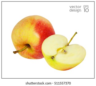 Realistic apples. Natural red and yellow fruit isolated on white background. Collection of dietary products. Apple in the cut. Elements for design. Vector illustration EPS 10.