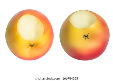 Realistic apples set. Isolated on white. Vectore