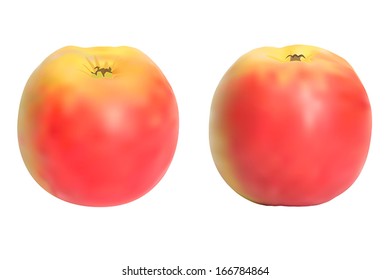 Realistic apples set. Isolated on white. Vectore