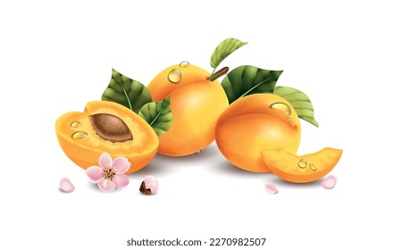 Realistic apricot composition with blank background and pile of fruits with leaves and flowers with shadows vector illustration