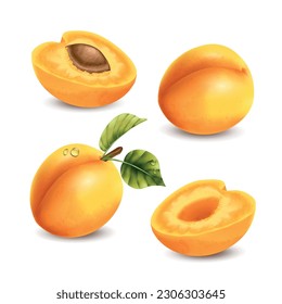 Realistic apricot set with isolated fruit images with water drops leaves and shadows on blank background vector illustration