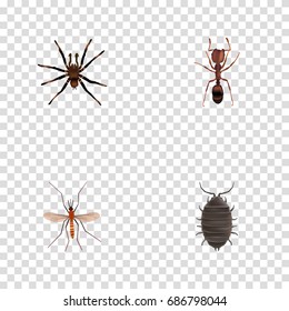 Realistic Arachnid, Dor, Emmet And Other Vector Elements. Set Of Bug Realistic Symbols Also Includes Gnat, Mosquito, Ant Objects.