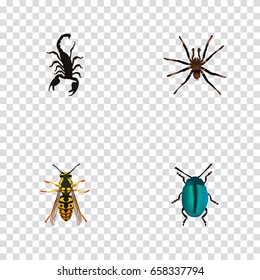 Realistic Arachnid, Poisonous, Bug And Other Vector Elements. Set Of  Realistic Symbols Also Includes Arachnid, Spider, Poisonous Objects.