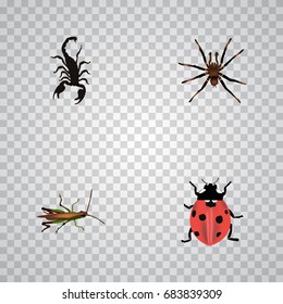 Realistic Arachnid, Poisonous, Locust And Other Vector Elements. Set Of Bug Realistic Symbols Also Includes Scorpion, Insect, Bug Objects.