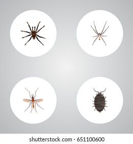 Realistic Arachnid, Spider, Gnat And Other Vector Elements. Set Of Insect Realistic Symbols Also Includes Beetle, Arachnid, Dor Objects.