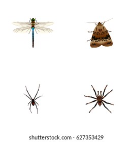 Realistic Arachnid, Spinner, Butterfly And Other Vector Elements. Set Of Animal Realistic Symbols Also Includes Dragonfly, Spinner, Spider Objects.