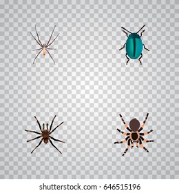 Realistic Arachnid, Tarantula, Bug And Other Vector Elements. Set Of Bug Realistic Symbols Also Includes Spider, Bug, Spinner Objects.