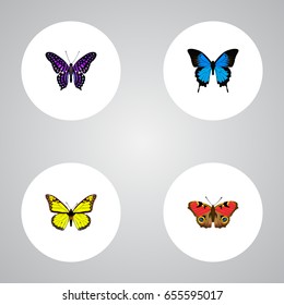 Realistic Archippus, American Painted Lady, Common Blue And Other Vector Elements. Set Of Beauty Realistic Symbols Also Includes Yellow, Violet, Cypris Objects.