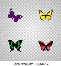 Realistic Archippus, Beauty Fly, Callicore Cynosura And Other Vector Elements. Set Of Moth Realistic Symbols Also Includes Tropical, Fly, Red Objects.