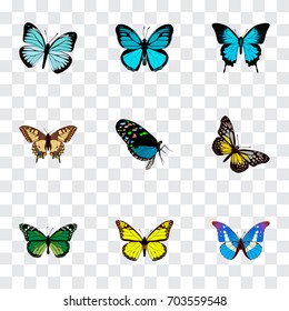 Realistic Archippus, Birdwing, Bluewing And Other Vector Elements. Set Of Beauty Realistic Symbols Also Includes Swallowtail, Sky, Beauty Objects.