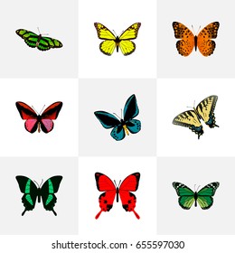 Realistic Archippus, Demophoon, Danaus Plexippus And Other Vector Elements. Set Of Beauty Realistic Symbols Also Includes Blue, Fly, Yellow Objects.