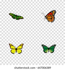 Realistic Archippus, Green Peacock, Birdwing And Other Vector Elements. Set Of Moth Realistic Symbols Also Includes Brown, Butterfly, Monarch Objects.