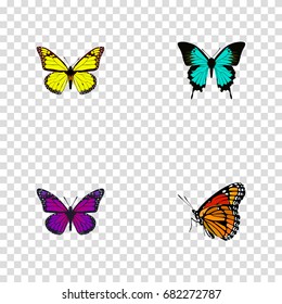Realistic Archippus, Purple Monarch, Copper And Other Vector Elements. Set Of Beauty Realistic Symbols Also Includes Brown, Yellow, Butterfly Objects.