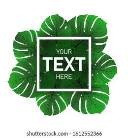 Realistic area with palm leaves for your text on a white background. Vector illustration.