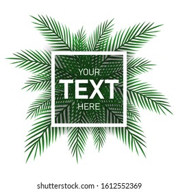 Realistic area with palm leaves for your text on a white background. Vector illustration.