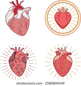Realistic and Artistic Human Heart Vector Illustration Medical and Decorative Design