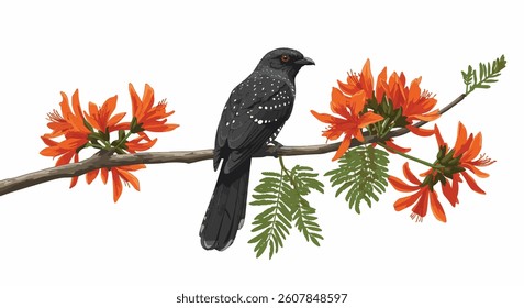 Realistic Asian Koel Perched on Flame Tree Branch with Vibrant Red
Blossoms I Erabadu Flowers with koha-Sinhala Aluth Avurudu Design,
Sinhala and Tamil New Year Design- Vector Illustration PNG