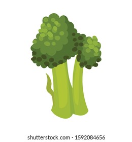 Realistic Asparagus Broccoli Vegetable Vector Object. Vegetarian Snack and Nutrition