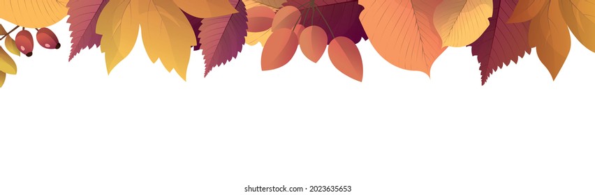 Realistic autumn foliage, white background with space for text - Vector illustration
