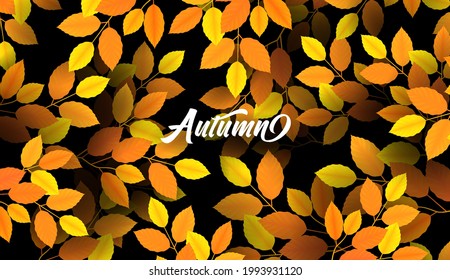 Realistic autumn leaves. Autumn background in red, orange, yellow colors. Texture design for web banner, print, wallpaper. Vector illustration.