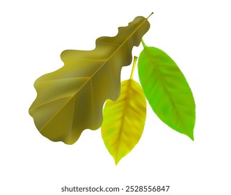 Realistic autumn leaves composition. Yellow, green flying fall vibrant leaves. Vector illustration