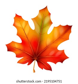 Realistic autumn leaves. Fall orange wood foliage maple, bright red and orange colors fallen leaf. Canadian tree, 3d isolated element, decorative botanical object, vector botany illustration