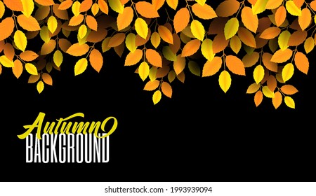 Realistic autumn leaves, foliage. Design Templates for posters, banners, flyers, presentations. Vector illustration.