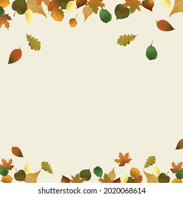 Realistic autumn leaves on a light background - Vector illustration