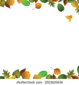 Realistic autumn leaves on a light background - Vector illustration