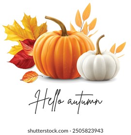 Realistic autumn leaves and pumpkins set isolated background, vector realistic, autumn illustration, hello autumn vector	