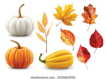 Realistic autumn leaves and pumpkins set isolated background, vector realistic, autumn illustration, hello autumn vector	