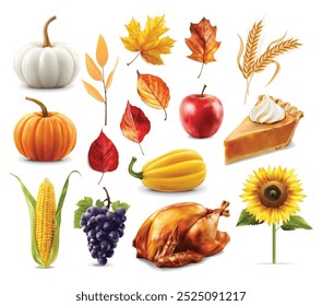 Realistic autumn leaves and pumpkins set isolated white background, thanksgiving elements vector, autumn illustration, hello autumn vector