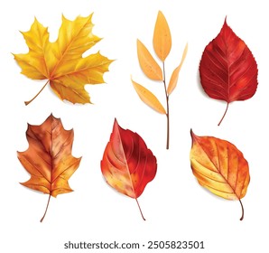 Realistic autumn leaves set isolated background, vector realistic, autumn illustration, hello autumn vector	