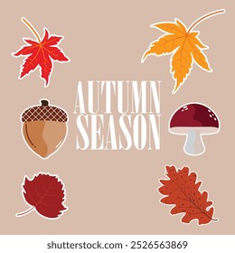 Realistic autumn leaves set isolated background vector 