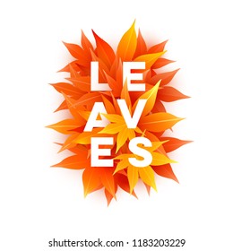 Realistic autumn maple leaves with text. Momiji. Vector illustration isolated on white.