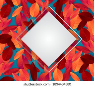 Realistic autumn red and orange leaves over blue background. Fall sale banner with scribble typography text. Vector illustration.