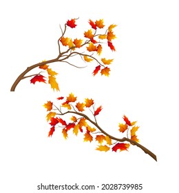 Realistic autumn tree branch set vector illustration.