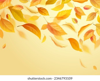 Realistic autumn wind. Flying falling gold leaves, fly flow forest golden dry leafs to ground, isolated yellow fall leaf, september winds environment 3d exact vector illustration of gold season autumn