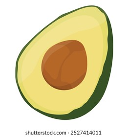 Realistic avocado isolated on white background. Half sliced avocado with seed.  Healthy lifestyle. Avocado fruit icon. Vector illustration