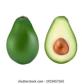 realistic avocado on transparent background. high quality vector 