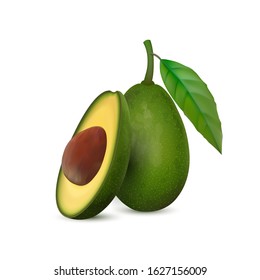 Realistic avocado. Tropical fruit. 3d illustration whole avocado and sectional view