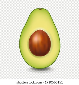 Realistic Avocado With White Background With Gradient Mesh, Vector Illustration