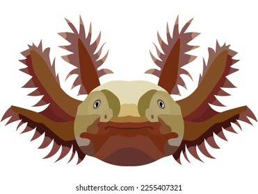 Realistic axelot face. The portrait of a salamander is depicted on a white background. Vector graphics.