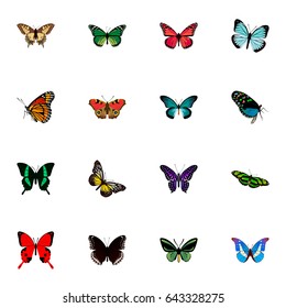 Realistic Azure Peacock, Bluewing, Tiger Swallowtail And Other Vector Elements. Set Of Beautiful Realistic Symbols Also Includes Hypolimnas, Julia, Monarch Objects.