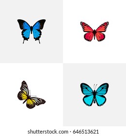 Realistic Azure Peacock, Common Blue, Sky Animal And Other Vector Elements. Set Of Beautiful Realistic Symbols Also Includes Cypris, Blue, Butterfly Objects.