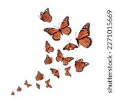 realistic background butterfly vector illustration design