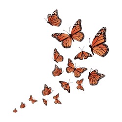 Realistic Background Butterfly Vector Illustration Design