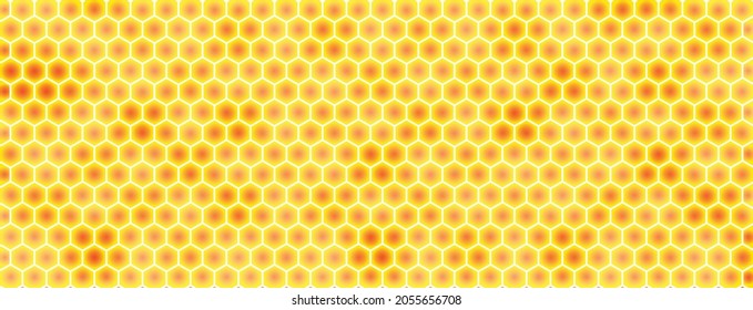 Realistic background texture and pattern of honeycomb in vector format