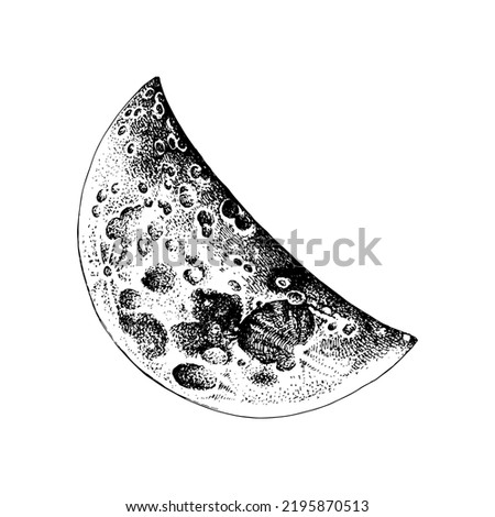 Realistic balck and white half moon.